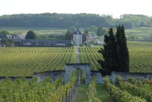 een wijngaard met een gebouw in het midden van een veld bij Gite Chateau de Chaintres in Dampierre-sur-Loire