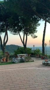 a park with a bench and trees in the background at La stanza col giardino in Bagno a Ripoli