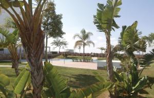 El RomeroにあるNice Apartment In Alhama De Murcia With 2 Bedrooms, Outdoor Swimming Pool And Wifiのヤシの木が茂る公園、スイミングプール