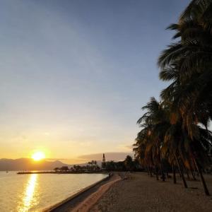 uma praia com palmeiras e o pôr do sol em Subic Bay View Diamond Hotel em Olongapo