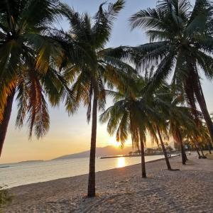 un groupe de palmiers sur une plage au coucher du soleil dans l'établissement Subic Bay View Diamond Hotel, à Olongapo