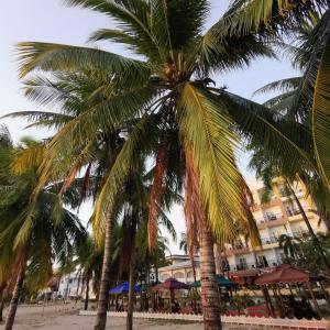Subic Bay View Diamond Hotel في اولونجابو: نخلتين على شاطئ به طاولات ومظلات