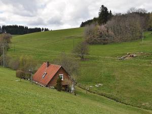 a small house in the middle of a field at Cottage in Black Forest near ski slopes in Sankt Georgen im Schwarzwald