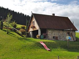 una casa en una colina con un tobogán delante de ella en Cottage in Black Forest near ski slopes, en St. Georgen im Schwarzwald