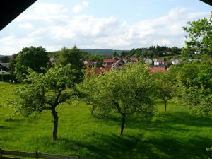 un gruppo di alberi in un campo verde con case di Attractive Holiday home in Waltershausen with Fireplace a Winterstein