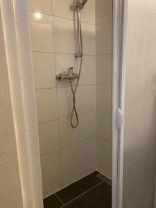 a bathroom with a shower stall and a shower curtain at Family Apartments Lübeck in Lübeck