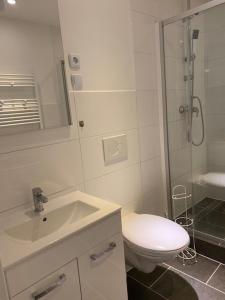 a bathroom with a toilet and a sink and a shower at Family Apartments Lübeck in Lübeck