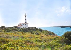 Příroda nedaleko prázdninového domu