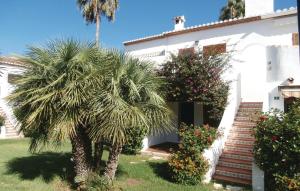 a palm tree in front of a white house at Tropicanapark in Denia