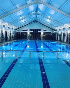a large indoor swimming pool with blue water at Downings Bay Hotel in Downings