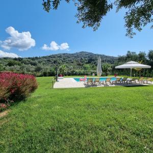 a pool with chairs and an umbrella in a grass field at Villa Stefania in Agios Georgios Pagon