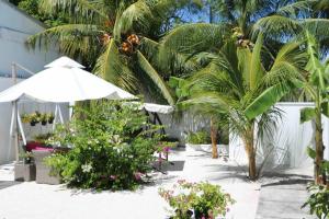 a patio with plants and an umbrella and palm trees at Fiyala Homestay in Feydhoo