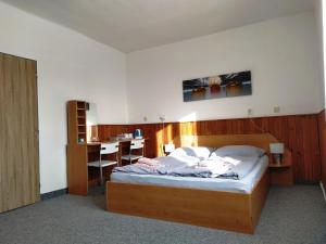 Schlafzimmer mit einem Bett, einem Schreibtisch und einem Tisch in der Unterkunft Prázdninový dům Na Panorámě in Jáchymov