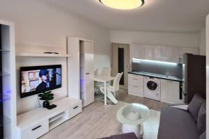 Televízia a/alebo spoločenská miestnosť v ubytovaní Útulný apartmán v centru, s krásným výhledem