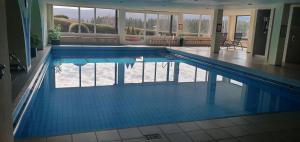 - une grande piscine dans un bâtiment dans l'établissement Appartement Sonnenwinkel C37 Haus Feldbergblick, à Lenzkirch