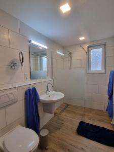 a bathroom with a toilet and a sink at Apartmenthaus Robbe Luv in Neuharlingersiel
