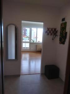 een kamer met een hal met een spiegel en een raam bij Poziom 7 in Elblag