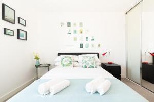DELUXE HOME @CITY CENTRE NO PARTY & DRUG ANIMAL