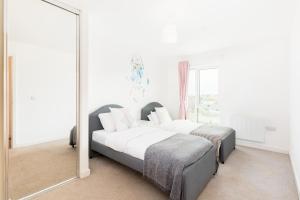 DELUXE HOME @CITY CENTRE NO PARTY & DRUG ANIMAL