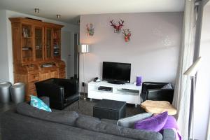 uma sala de estar com um sofá e uma televisão de ecrã plano em Am Finkenbusch aan de skipiste em Willingen