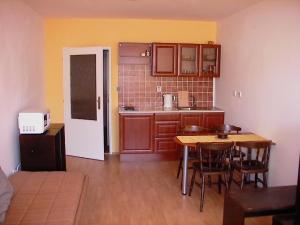 Ett kök eller pentry på Apartment Ramzová Adam 25