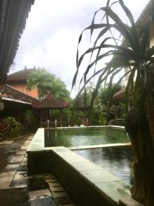 a swimming pool in front of a house at Lestari Homestay in Sanur