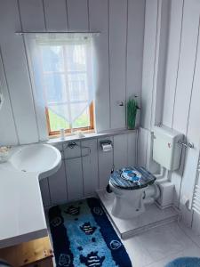 a small bathroom with a toilet and a sink at Ferienhaus Maria in Mönkebude