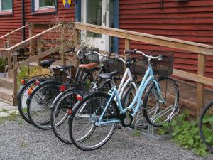 Jízda na kole v ubytování STF Baskemölla Hostel nebo okolí