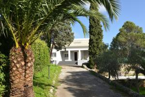 A garden outside Nerodavola by PosarelliVillas