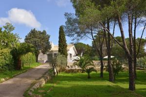 una casa blanca con árboles y un camino de entrada en Nerodavola by PosarelliVillas, en San Corrado di Fuori