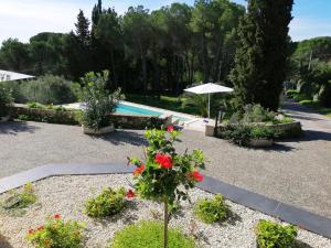 A garden outside Nerodavola by PosarelliVillas