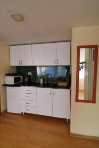 Kuchyň nebo kuchyňský kout v ubytování Stone Home Apart