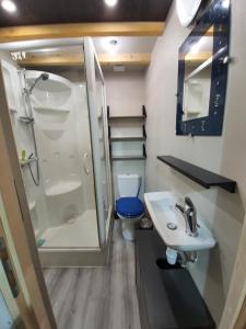 ein kleines Bad mit WC und Waschbecken in der Unterkunft Gîte avec piscine 14 personnes in Gigny-sur-Saône