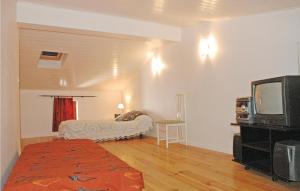 uma sala de estar com uma cama e uma televisão em Lovely Home In St, Fortunat S Eyrieux With Kitchen em Saint-Fortunat-sur-Eyrieux