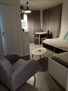 salon z łóżkiem, krzesłem i stołem w obiekcie Les cigognes w mieście Bagnoles de l'Orne +3 zdjęcia