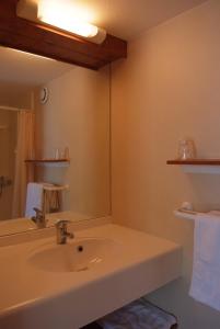 a bathroom with a sink and a mirror at Fasthotel Saint-Amand-Montrond Orval in Orval