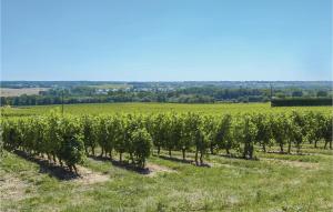 een rij groene bomen in een veld bij Pet Friendly Home In St Jean Des Mauvrets With Kitchen in Saint-Mélaine-sur-Aubance