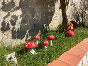 Vonkajšia záhrada v ubytovaní Casa el saladillo