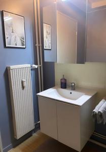 a bathroom with a white sink and a mirror at Bel Appartement near Bâle Mulhouse Airport in Saint-Louis