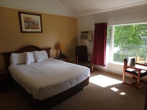 um quarto com uma cama, uma janela e uma cadeira em Hickory Grove Motor Inn - Cooperstown em Cooperstown