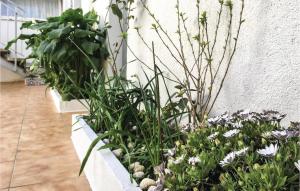 einen Garten mit Blumen und Pflanzen an der Wand in der Unterkunft Lovely Apartment In Pineda De Mar in Pineda de Mar