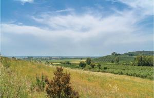 a hillside with a field of grass and trees at Laguna Celeste in Vetulonia