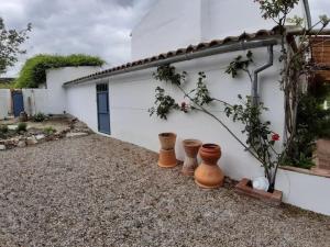 Zahrada ubytování FINCA LOS MELEROS Andalucian farmhouse set in its own land with beautiful terraces, garden & pool.