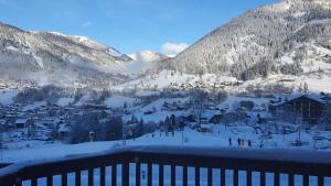 Deluxe Panorama Apartment-Maibrunn-Alm im Winter