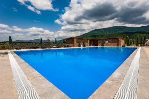 a large blue swimming pool with mountains in the background at Chateau Artwine in Art'ana