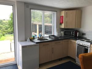 a small kitchen with a sink and a window at Meadow View Lodge in Begelly