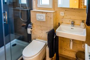 y baño con aseo, lavabo y ducha. en Camping Jungfrau en Lauterbrunnen
