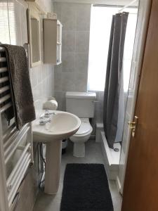 a small bathroom with a toilet and a sink at Meadow View Lodge in Begelly