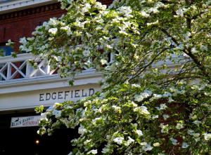 Fotografie z fotogalerie ubytování McMenamins Edgefield v destinaci Troutdale