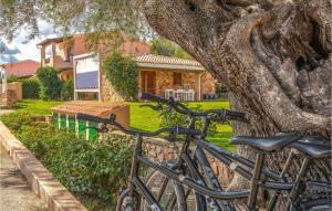 two bikes parked under a tree in front of a house at Trilo 6 in San Teodoro